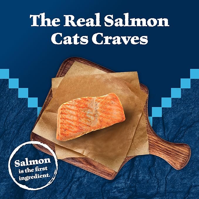 Blue Buffalo Wilderness Natural High Protein Grain Free Salmon Pate Wet Food for Kittens, 3 oz., Case of 24