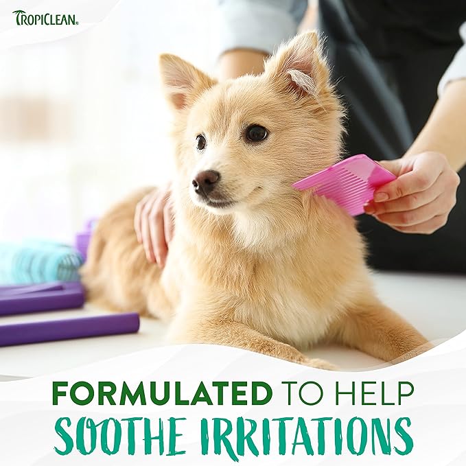 TropiClean Oatmeal Cat & Dog Shampoo for Itchy Skin Relief, Puppy & Kitten Safe, Medicated Tea Tree Oil for Itchy Skin Relief, Made in USA, 1 gallon