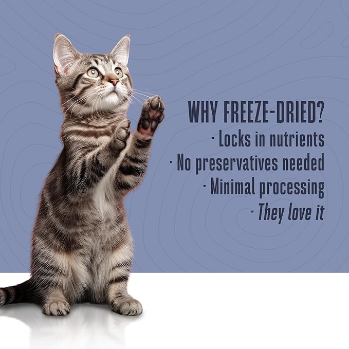 Whole Life Pet Freeze Dried Cat Food - Human-Grade Wet Cat Food Toppers & Complement, Natural Broth for Cats, Hydrating Snacks, Lickable Treats, Just Add Water – Shredded Chicken, 3 Oz