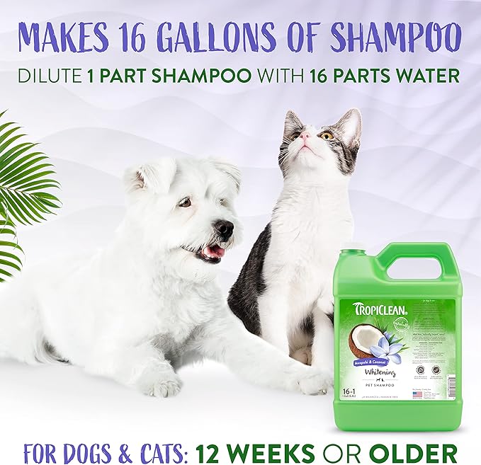 TropiClean Whitening Cat & Dog Shampoo, Puppy & Kitten Safe, Whitening & Brightening, For All Coat & Color Types, Made in the USA, 1 gallon