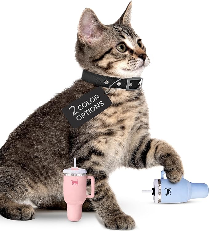 Kitty Cup Tumbler Cat Toy – Small Crinkle Catnip - Funny and Cute Kitten Toys with Cat Nip for Fun Indoor Play, Unique Kitty Birthday Gift, Aesthetic Kitten Present (Chambray Blue)