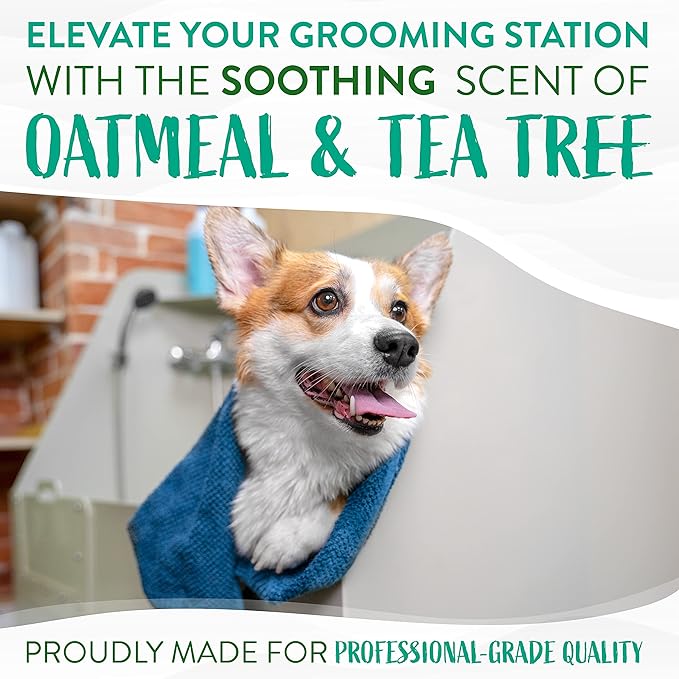TropiClean Oatmeal Cat & Dog Shampoo for Itchy Skin Relief, Puppy & Kitten Safe, Medicated Tea Tree Oil for Itchy Skin Relief, Made in USA, 1 gallon