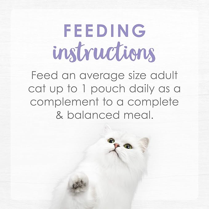 Purina Fancy Feast Lickable Wet Cat Food Broth Topper, Creamy Wild Salmon and Whitefish - (Pack of 16) 1.4 oz. Pouches