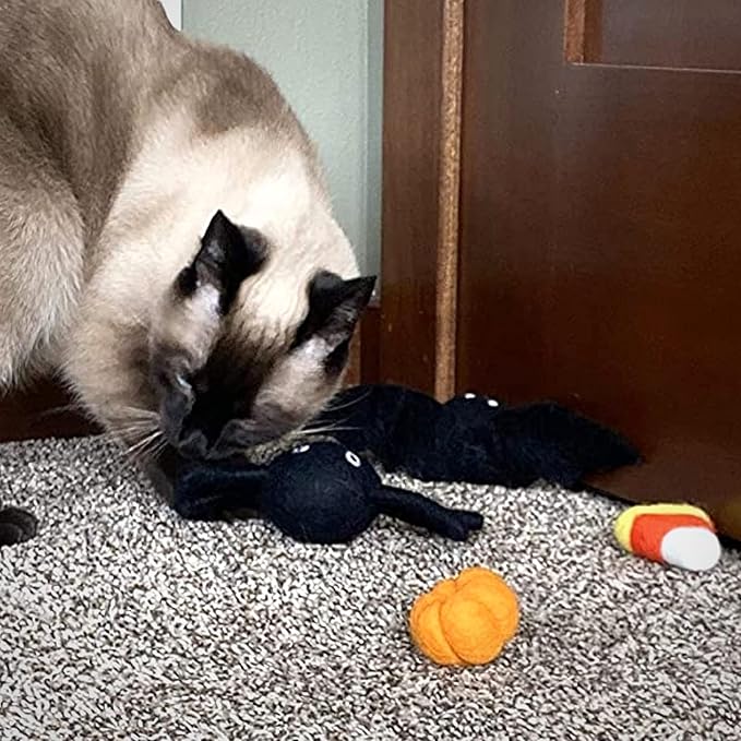 Midlee Halloween Felt Cat Toys Set- Bat, Pumpkin, Spider, Candy Corn