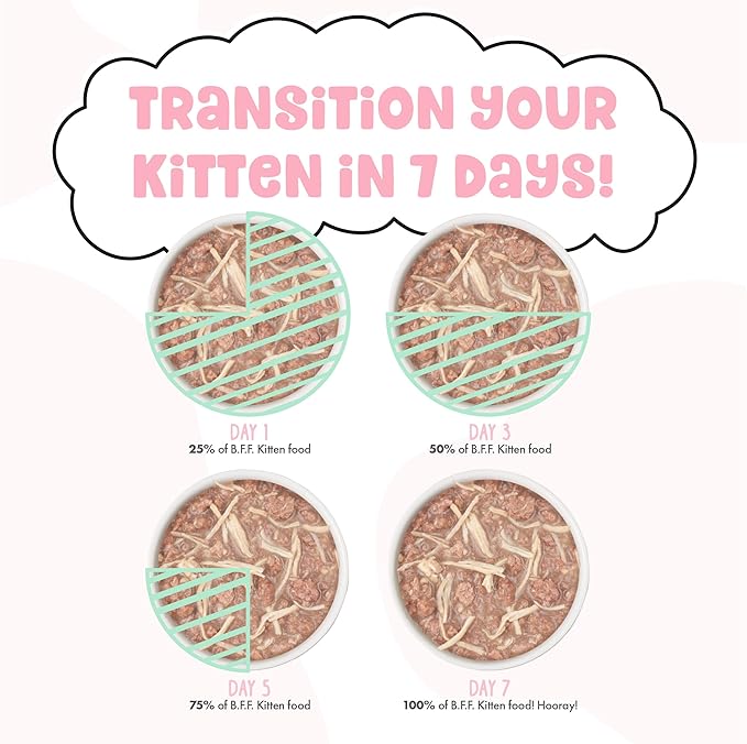 B.F.F. Kitten, Cute to Boot, 2.8oz Can (Pack of 12)