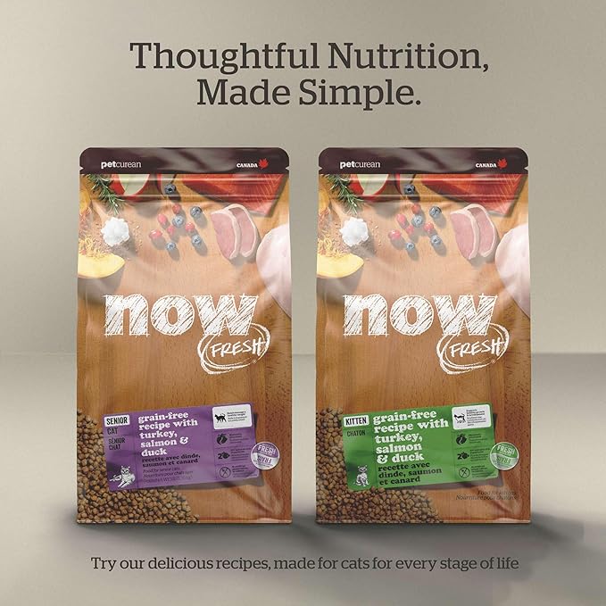 Now Fresh Grain-Free, Dry Cat Food, Turkey, Salmon and Duck Kibble, Real Meat and Fish Adult Recipe, 8 lb Bag