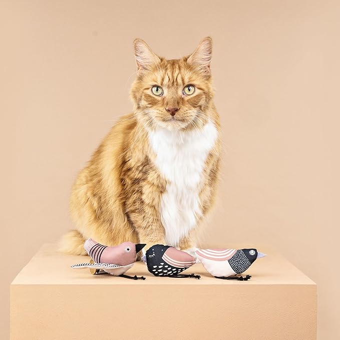 Fringe Studio "UNDER MY WINGS Cat Toy Mini Set of 3, PetShop Collection (904029)