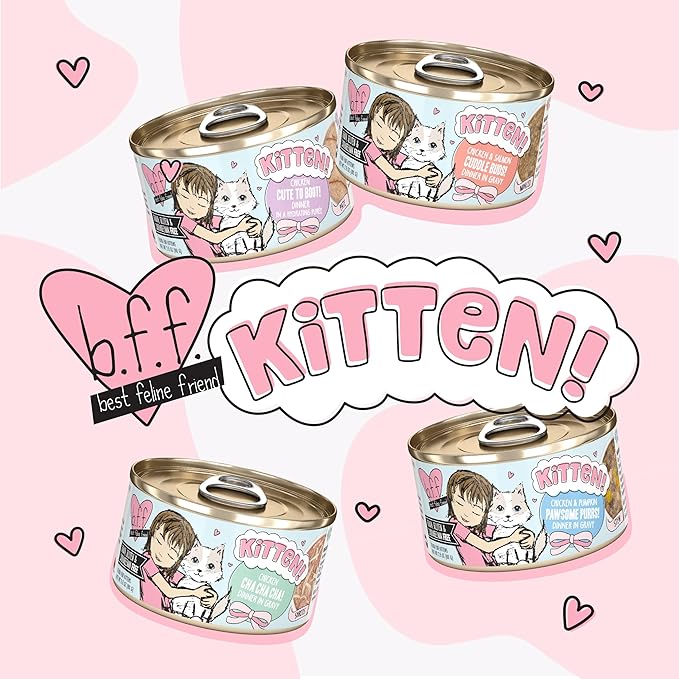 B.F.F. Kitten, Cha Cha Cha, 2.8oz Can (Pack of 12)