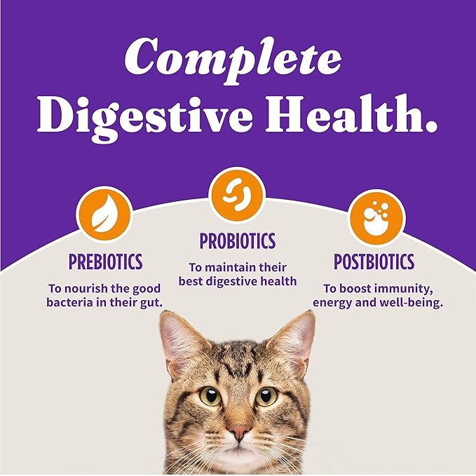 Halo Holistic Kitten Food Dry, Grain Free Cage-free Chicken Recipe, Complete Digestive Health, Dry Cat Food Bag, Kitten Formula, 3-lb Bag