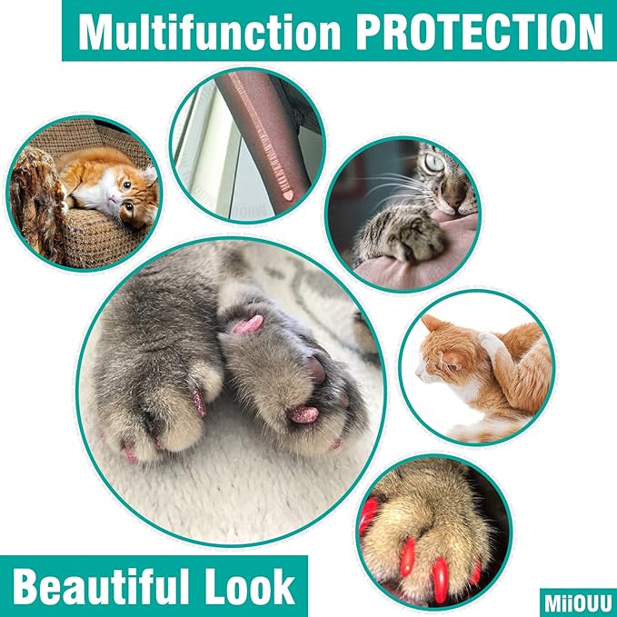 100 pcs Cat Nail Caps | Cat Claw Covers with Adhesives and Applicators | 5X Different Glitter Colors (M)