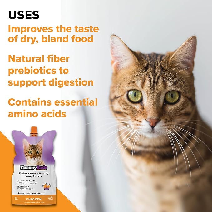YummyRade – Pet Meal Topper for Dry Cat Food | Healthier Gravy Meal Enhancer & Tasty Low Calorie | Grain Free, Chicken Flavored | Flavor-Boosting Gravy Topper Pets Love! | 250ml x 3