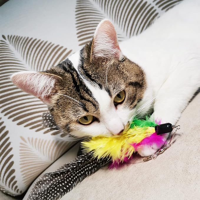 Cat Feather Toys Refills Da Bird Feather Cat Toy, 8 PCS Natural Da Bird Feathers Refill, Cat Wand Replacement Feather for Cat Toys (D)