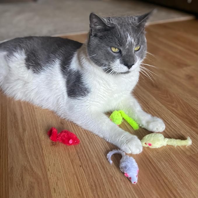 SPOT Colored Plush Mice Cat Toy - Rattle and Catnip Toy for Indoor Cats and Kittens - Bright Colored Classic Toy for Batting and Chasing Around - Fun Entertainment for Hours - 4.5inch Assorted 4-Pack