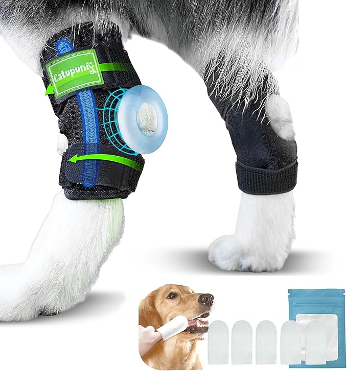 2PCS Dog Braces for Back Leg for Support. Dog Arthritis Brace. Hind Leg Support for Dogs. Leg Brace for Dogs Back Leg. Dog Leg Brace. Dog Back Leg Support Brace. Dog Hock Brace Rear Leg (XL)