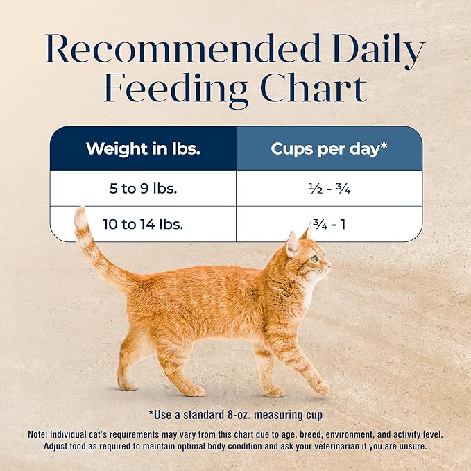 Blue Buffalo Basics Grain-Free Dry Cat Food, Skin & Stomach Care, Limited Ingredient Diet for Indoor Cats, Turkey & Potato Recipe, 11-lb. Bag