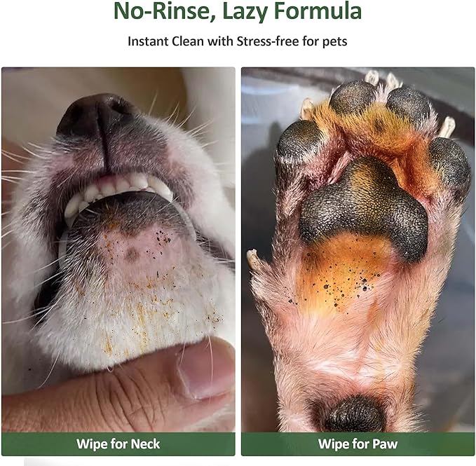 ORDORA Pet Cleaning Gloves for Dogs and Cats，Cleaning & Deodorizing Grooming Gloves, 12 Pack - All-in-One Grooming Solution for Daily Care and Travel