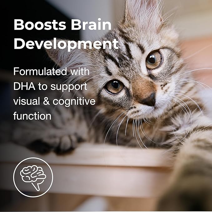 Pet-Ag KMR 2nd Step Kitten Weaning Food - 14 oz, Pack of 3 - Powdered Kitten Weaning Formula with DHA, Natural Milk Protein, Vitamins & Minerals for Kittens 4-8 Weeks Old - Easy to Digest