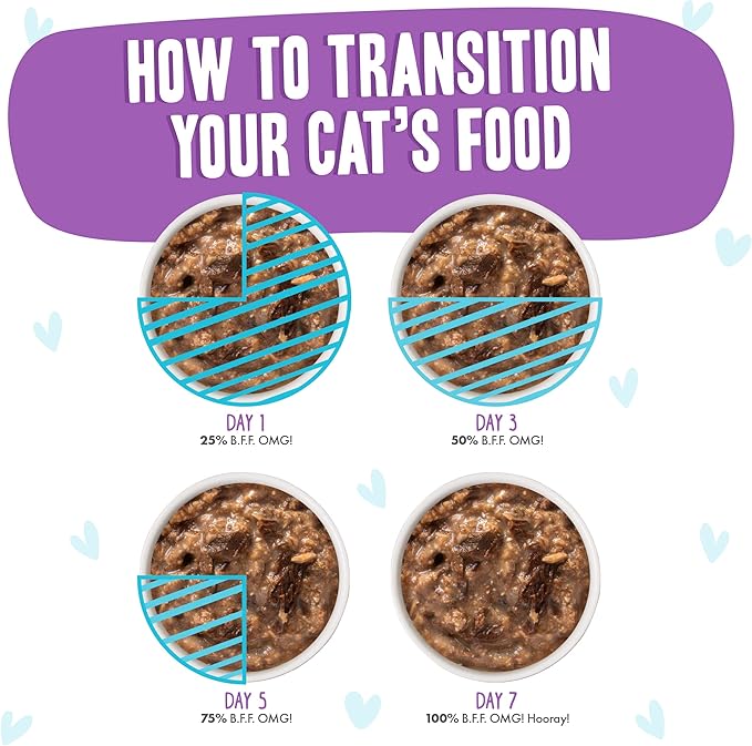 Weruva B.F.F. OMG - Best Feline Friend Oh My Gravy!, Booya! Beef & Chicken in Gravy Cat Food, 2.8oz Pouch (Pack of 12)