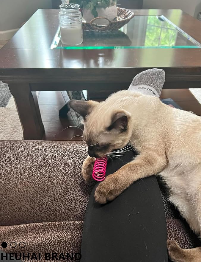 Interactive Cat Toys Variety Pack 20-Piece Cat Enrichment Toys for All Ages Spring Toys Bell Balls & Plush Toys to Stimulate Bored Indoor Cats