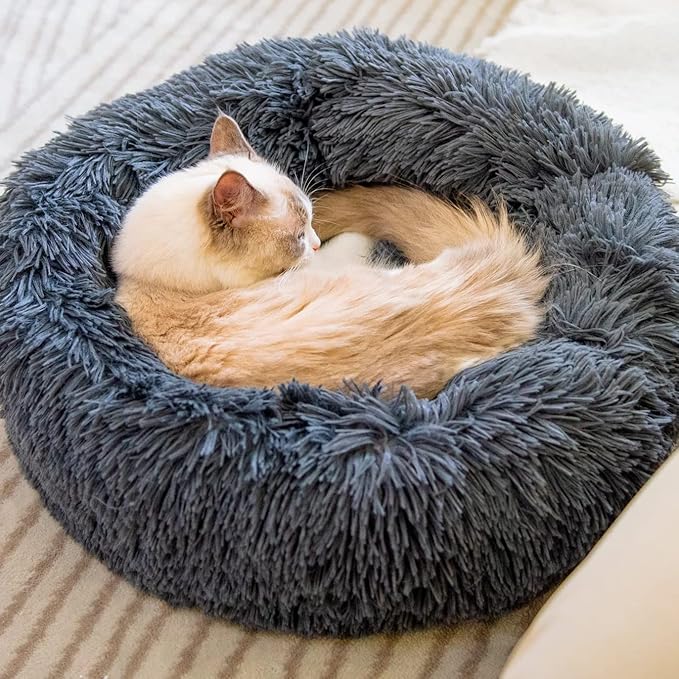 Cat Beds for Indoor Cats - Cat Bed Washable 20/24 inches, Dog Beds for Small Medium Dogs, Anti Anxiety Round Fluffy Plush Faux Fur Cat Bed, Thick Bottom (Dark Grey, Medium)