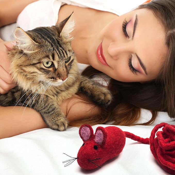 Glaciart One Felt Mouse Cat Toy – Soft Fuzzy Enrichment 100% Natural Wool Toy - Interactive Catnip Play Cat Toy Set - Safe for Pets, Non-AZO Colored Dyes - 100” Long