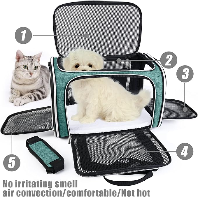 BAGLHER Pet Travel Carrier, Cat Carriers Dog Carrier for Small Medium Cats Dogs Puppies, Airline Approved Small Dog Carrier Soft Sided, Collapsible Puppy Carrier. Green