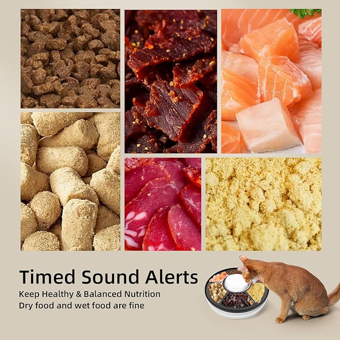 Automatic Cat Feeder, 1L Timed Cat Feeder with Time Setting 24 Hours at Most, Up to 6 Meals, Granary Pet Feeder for Little Cats Little Dogs