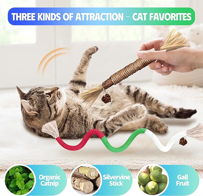 4 Pcs Cat & Kitten Chew Toy, Cat Toys Chew Ropes and Silvervine Cat Chew Sticks with Refillable Natural Catnip Bag for Teeth Cleaning, Safe Interactive Cat Toys for Indoor Cats