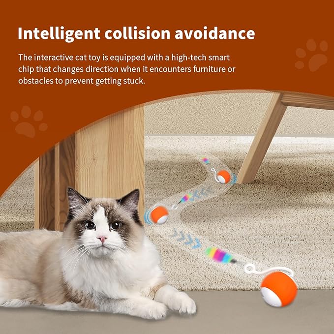Cat Balls Interactive Cat Toys for Indoor Cats 6-in-1 Rollie Pet Smart Cat Toy Ball Speedy Tail Cat Toy Mouse LED Rainbow Lights Feathers USB Charging, Touch Control and Sound Control (Orange)