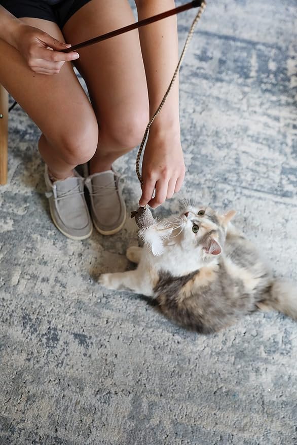 OurPets Play-N-Squeak Teathered & Feathered Play Wand Cat Toy, for All Breed Sizes