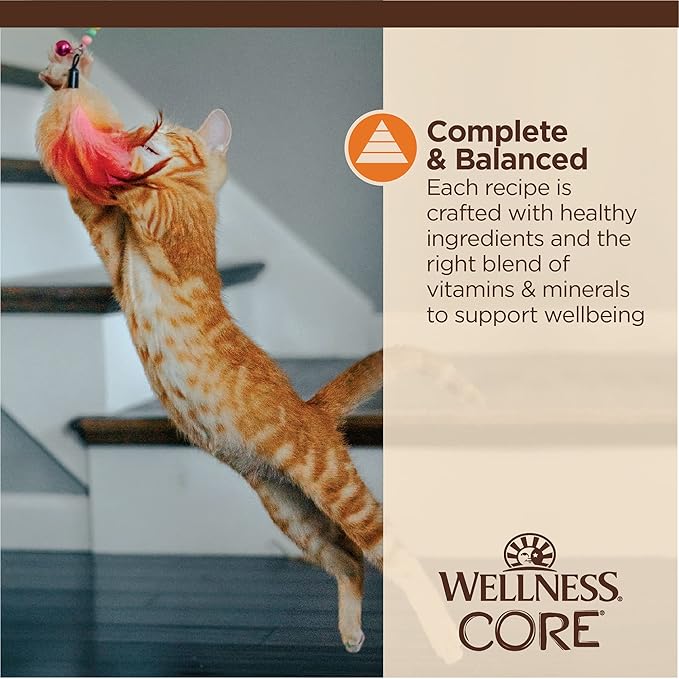 Wellness CORE Tiny Tasters Wet Cat Food, Complete & Balanced Natural Pet Food, Made with Real Meat, 1.75-Ounce Pouch, 12 Pack (Adult Cat, Minced Chicken in Gravy)