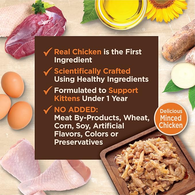 Wellness CORE Tiny Tasters Gravy Kitten Wet Cat Food, Natural, Protein-Rich, Grain Free, 1.75-Ounce Pouch, 12 Pack, (Minced Chicken)