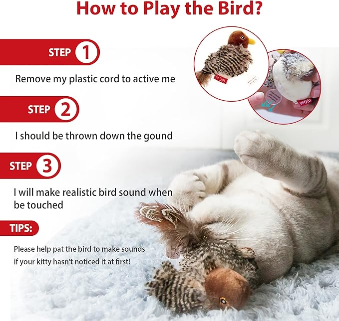 Gigwi Interactive Electronic Cat Toy (Not Flapping), Automatic Chirping Bird Cat Toy Squeaky with Feather Tail, Melody Chaser Toy Bird for Cats to Play Alone, Play and Squeak Kitten Toy for Boredom