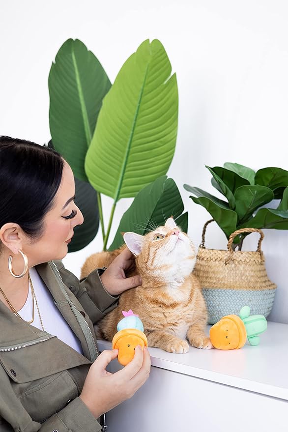 pearhead Prickly Plants Cat Toy Set, Cute Catnip Toys, Plush Cactus Interactive Chew Toys, Pet Owner Must Have Catnip Toys, Set of 2 Plush Toys