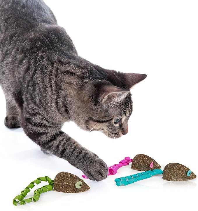 SmartyKat (3 Count) Magic Mice Compressed Catnip Ribbon Cat Toys - Green/Pink/Blue, 3 Count