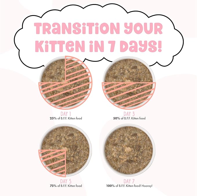 B.F.F. Kitten, Cha Cha Cha, 2.8oz Can (Pack of 12)