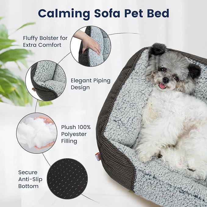 Miguel Washable Cat Beds for Indoor Cats with Removable Cushion, Easy to Wash Small Pet Sofa Bed with Side, Rectangle Bolster Kitten Bed Calming Cuddle Puppy Bed with Anti-Slip Bottom, Gray 18 Inch