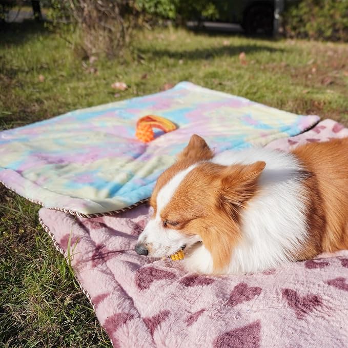 Self Warming Cat Bed, Super Soft Thermal Dog Crate Bed Mat for Sleeping, Washable Anti-Slip Self Heating Pet Kennel Pad for Small Medium Cats Dogs Indoor Outdoor (Color, XL)