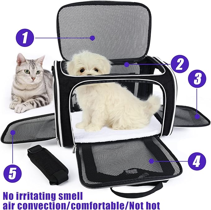 BAGLHER Pet Travel Carrier, Cat Carriers Dog Carrier for Small Medium Cats Dogs Puppies, Airline Approved Small Dog Carrier Soft Sided, Collapsible Puppy Carrier. Black