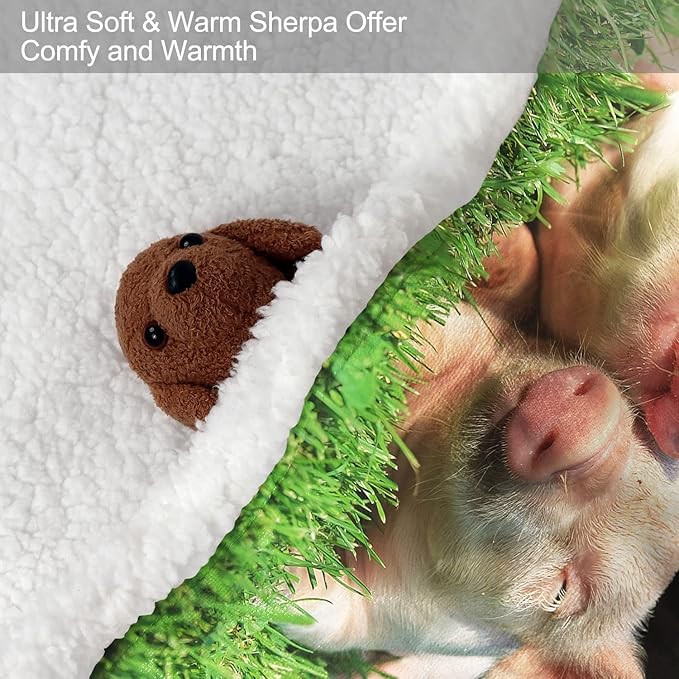 Pink Pigs Sherpa Blanket, Cute Piggy Fleece Throw Blankets for Couch Sofa Bed, Super Soft Warm and Lightweight, 50" x 60"