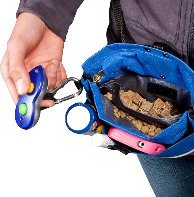 PetSafe Treat Pouch Sport- Durable, Convenient Dog Training Accessory, Cadet Blue