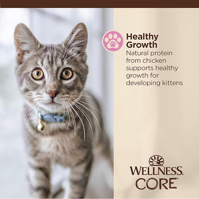 Wellness CORE Tiny Tasters Gravy Kitten Wet Cat Food, Natural, Protein-Rich, Grain Free, 1.75-Ounce Pouch, 12 Pack, (Minced Chicken)