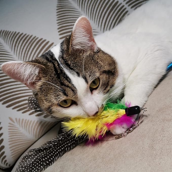 Cat Feather Toys Refills Cat Wand Replacement Feathers, 10 PCS Feather Cat Toy Refills, Cat Toy Wand Attachments Feathers for Cat Toys