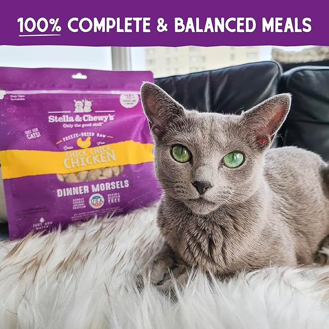Stella & Chewy's Freeze-Dried Raw Cat Dinner Morsels – Grain Free, Protein Rich Cat & Kitten Food – Chick Chick Chicken Recipe – 1 oz Bag