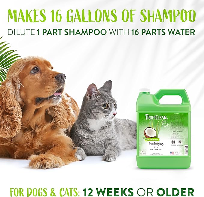 TropiClean Deodorizing Cat & Dog Shampoo for Smelly Dogs, Cats, Puppies, and Kittens, Powerful Odor Control, Coconut Scent, Made in the USA, 1 gallon