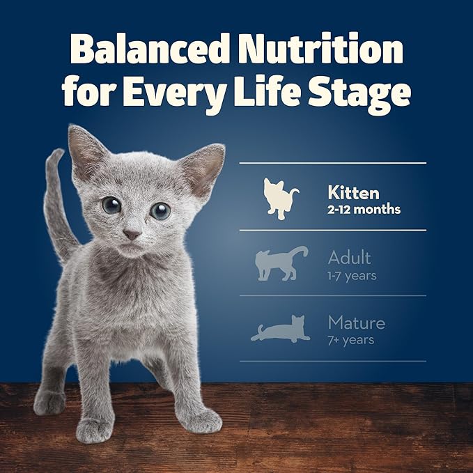 Blue Buffalo Freedom Grain-Free Kitten Wet Cat Food, Complete & Balanced Nutrition for Kittens, Made with Natural Ingredients, Chicken Recipe, 3-oz. Cans (24 Count)