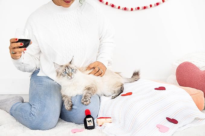 Pearhead Pet Cheese and Wine Plush Cat Toys, Set of 2, Valentine's Day Dog Toys, Wine and Cheese Catnip Toys, Crinkle Cat Toys, Cat Owner Valentine's Day Keepsake