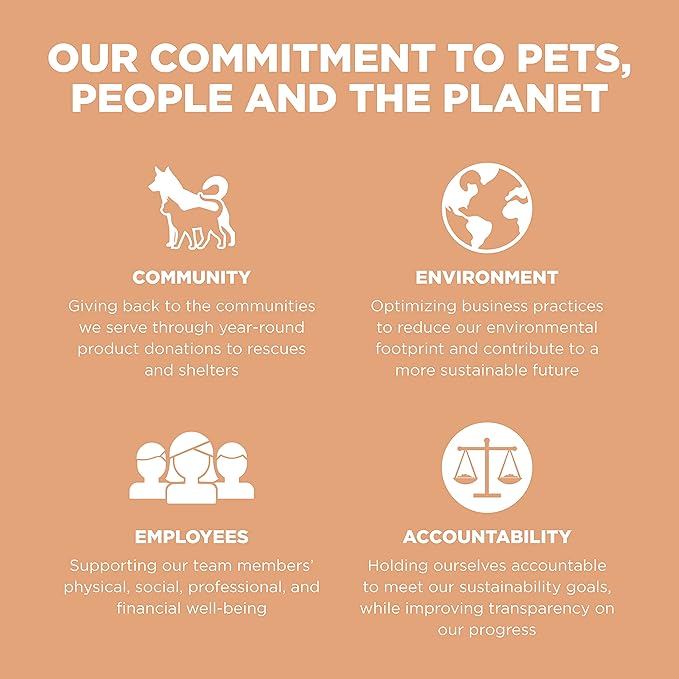 Go! Solutions Digestion + Gut Health, Dry Cat Food, Salmon Recipe with Ancient Grains, 8 lb Bag