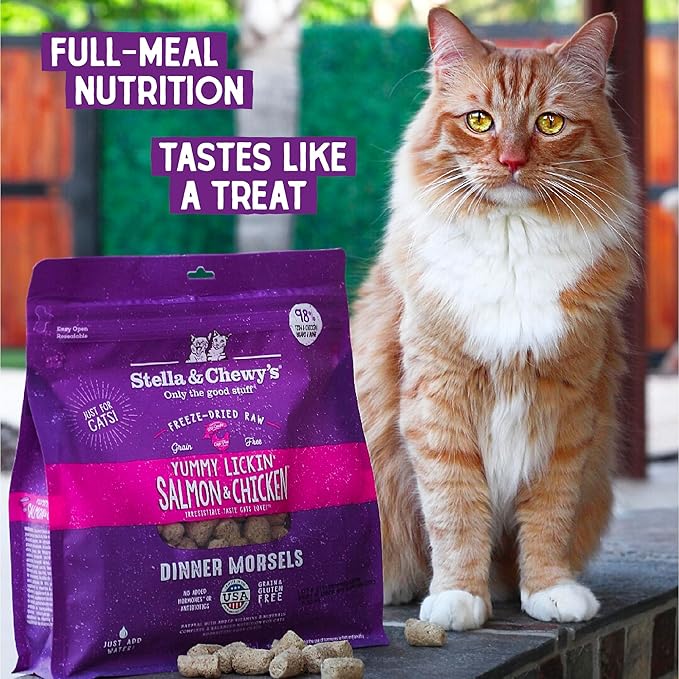 Stella & Chewy’s Freeze-Dried Raw Cat Dinner Morsels – Grain Free, Protein Rich Cat & Kitten Food – Yummy Lickin’ Salmon & Chicken Recipe – 8 oz Bag