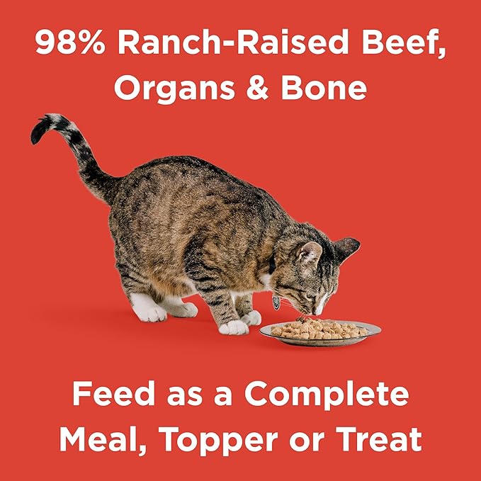 BIXBI Rawbble Freeze Dried Cat Food, Beef Recipe, 10 oz - 97% Meat and Organs, No Fillers - Pantry-Friendly Raw Cat Food for Meal, Treat or Food Topper - USA Made in Small Batches